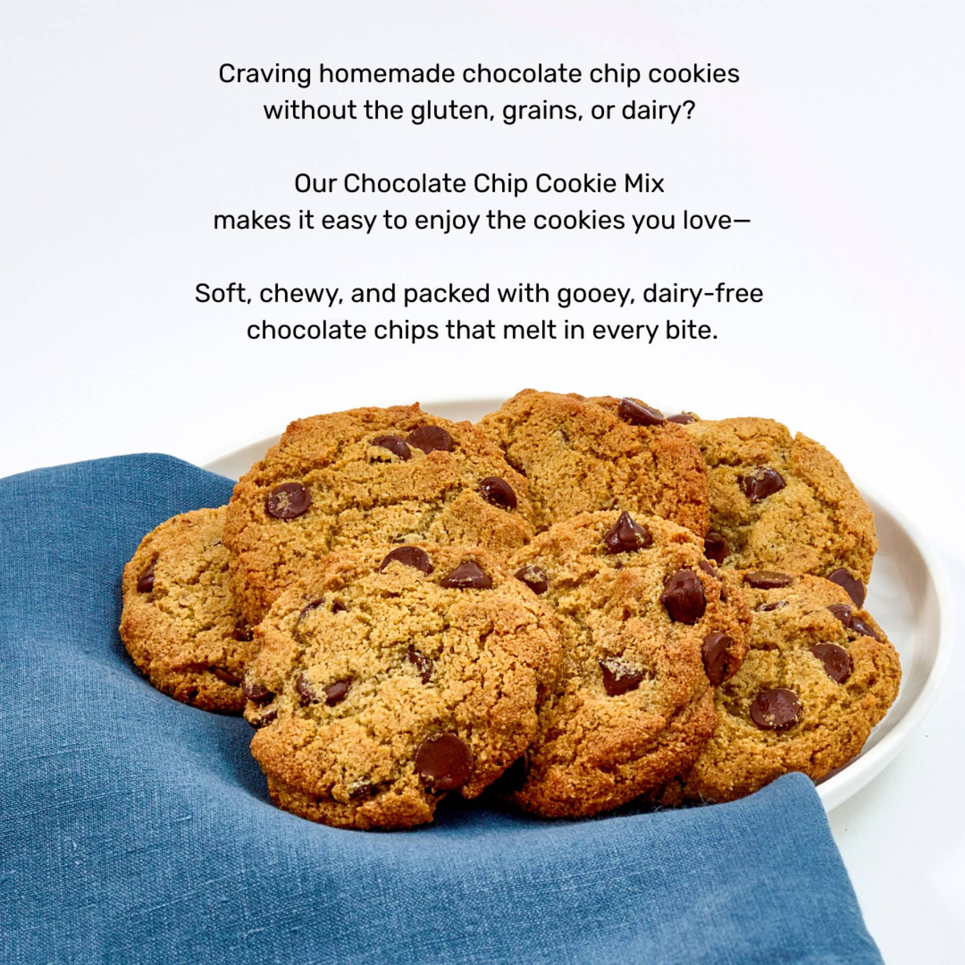 Cassavaberry Chocolate Chip Cookie Mix