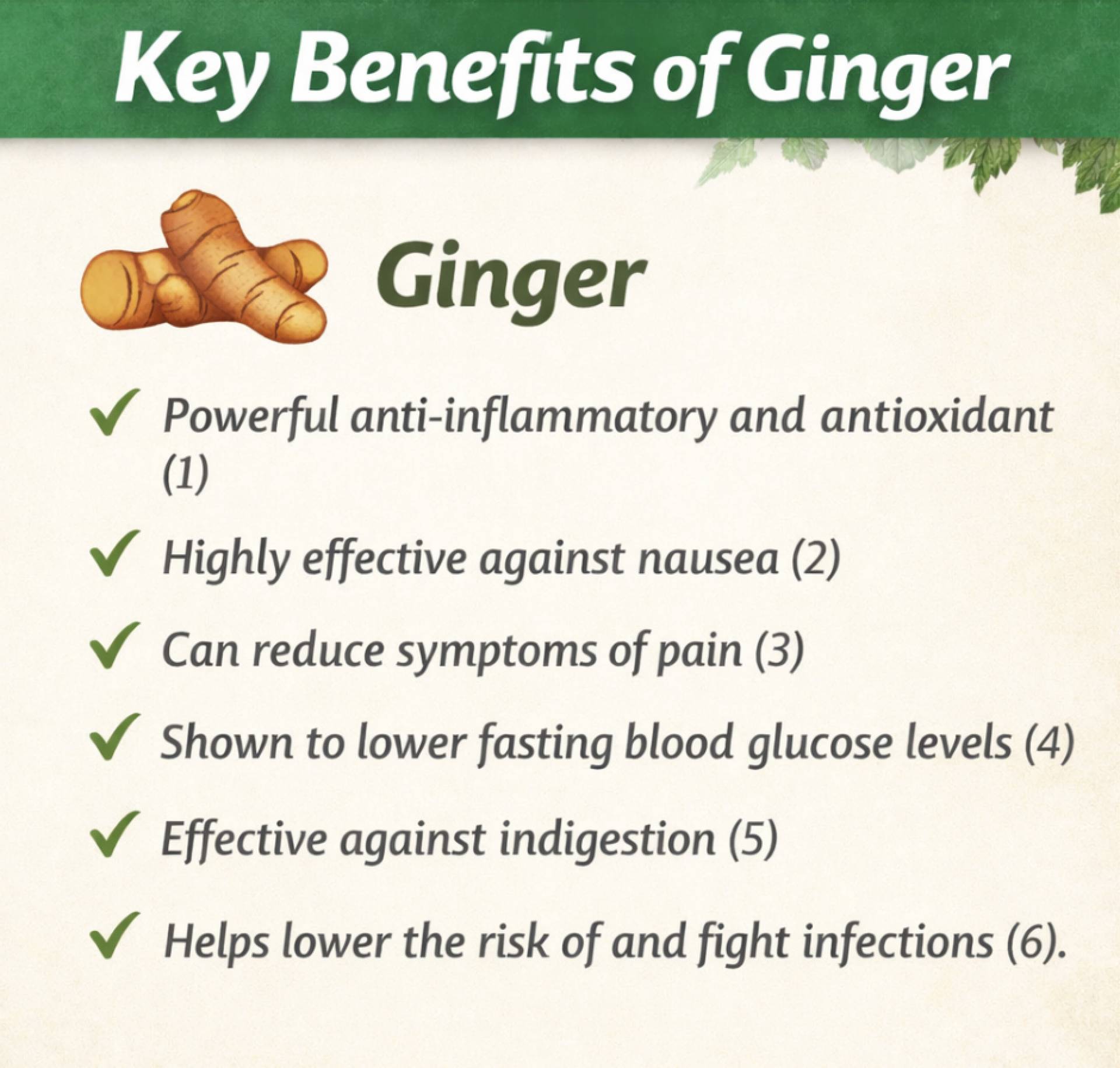 Pure Green - Pure Gingerade Cold Pressed Juice
