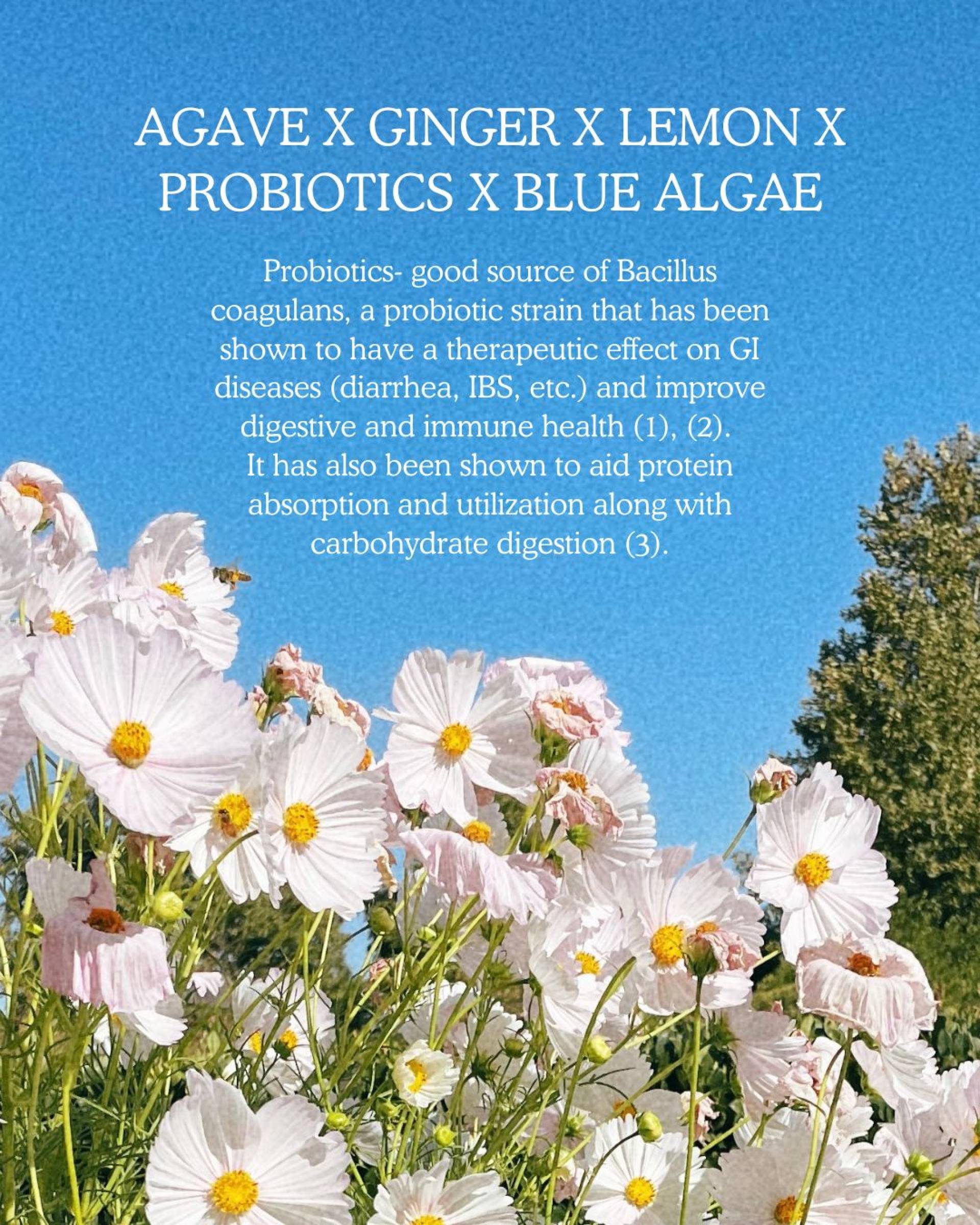 Pure Green Blue-Biotic Shots (12 Pk.)