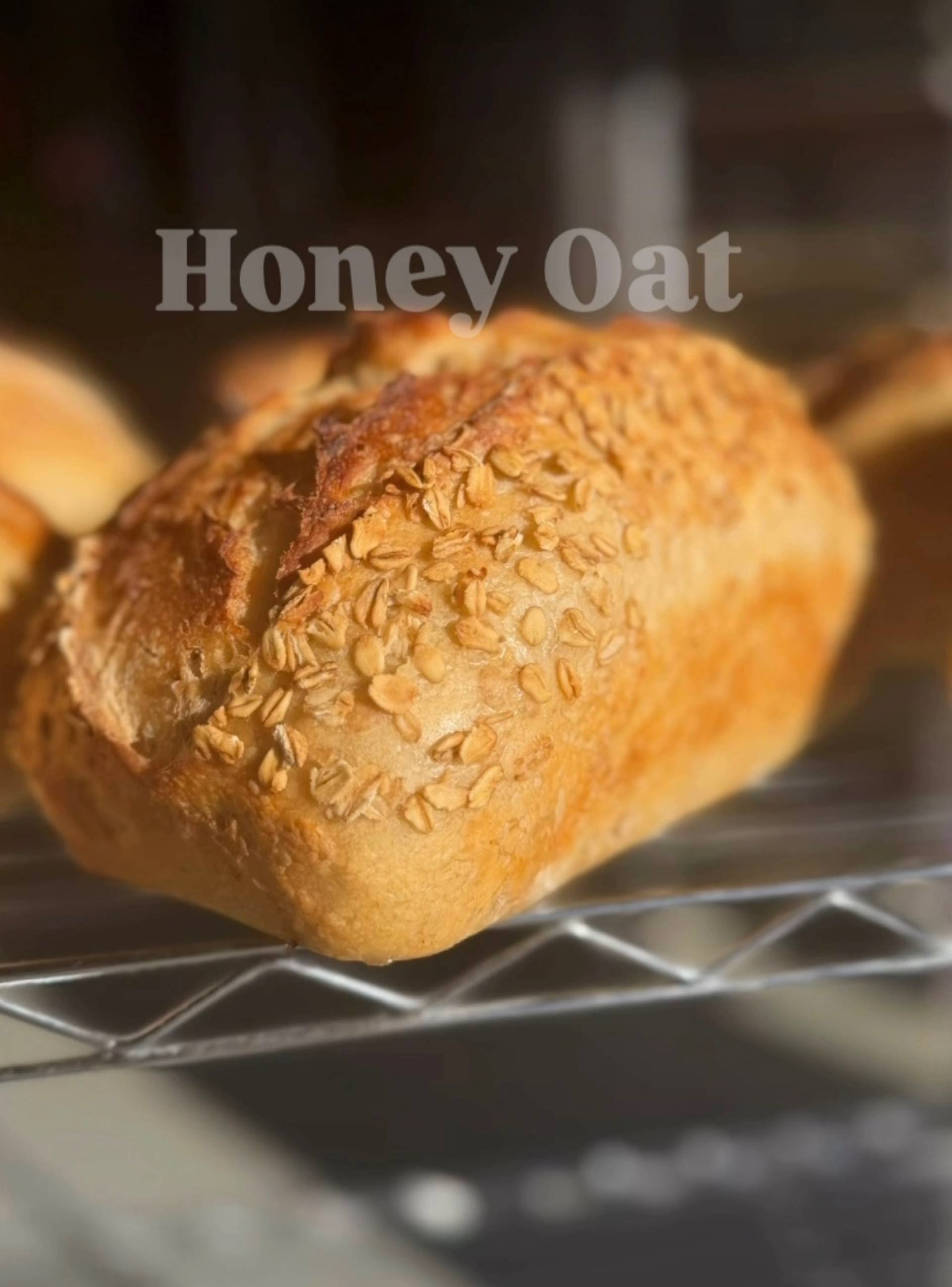 NoCo Sourdough - honey Oat Loaf