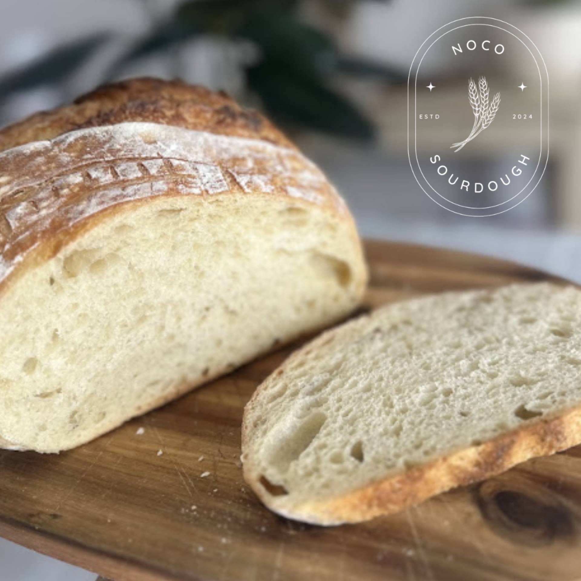 NoCo Sourdough - Classic Plain Sourdough Loaf