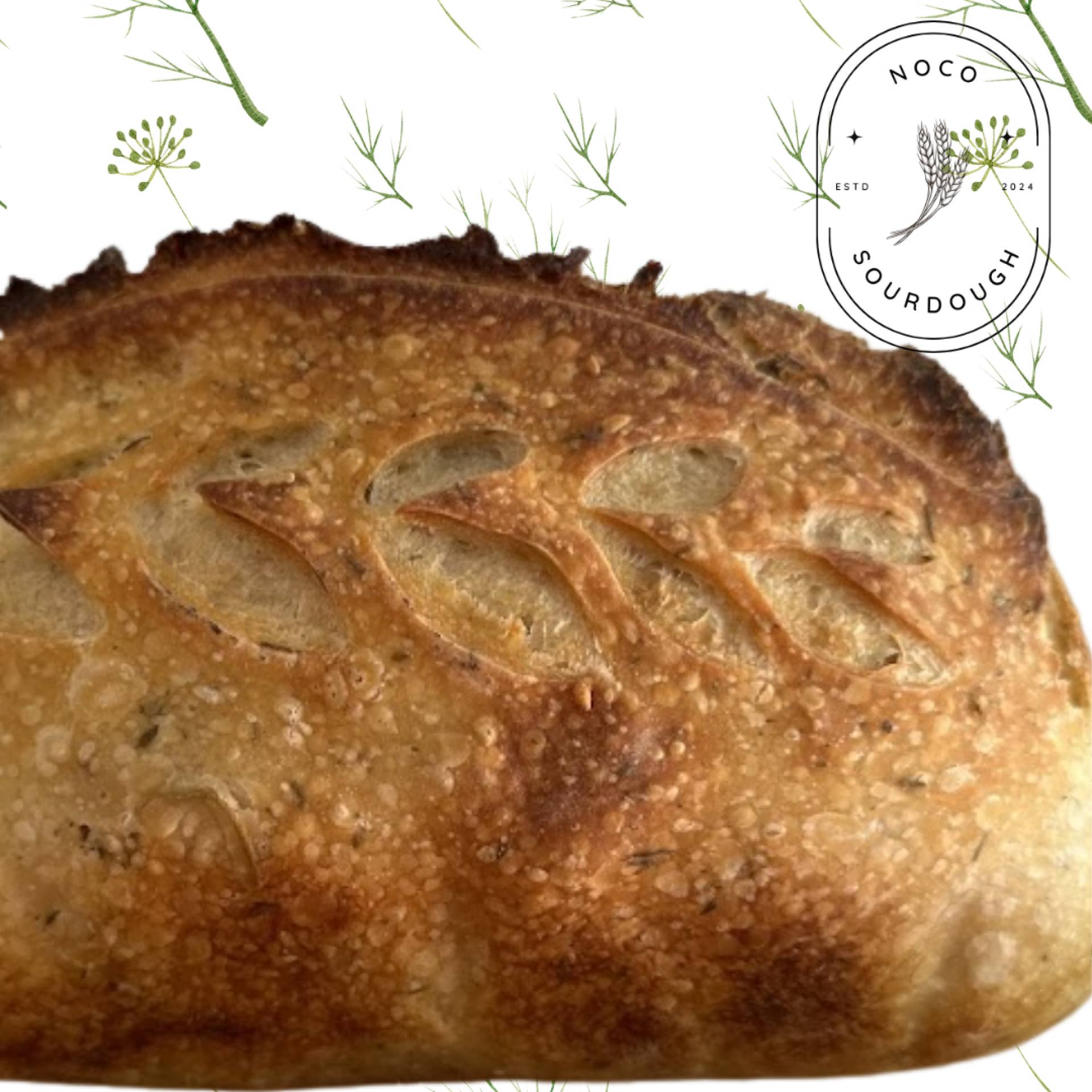 NoCo Sourdough - Roasted Garlic and Thyme