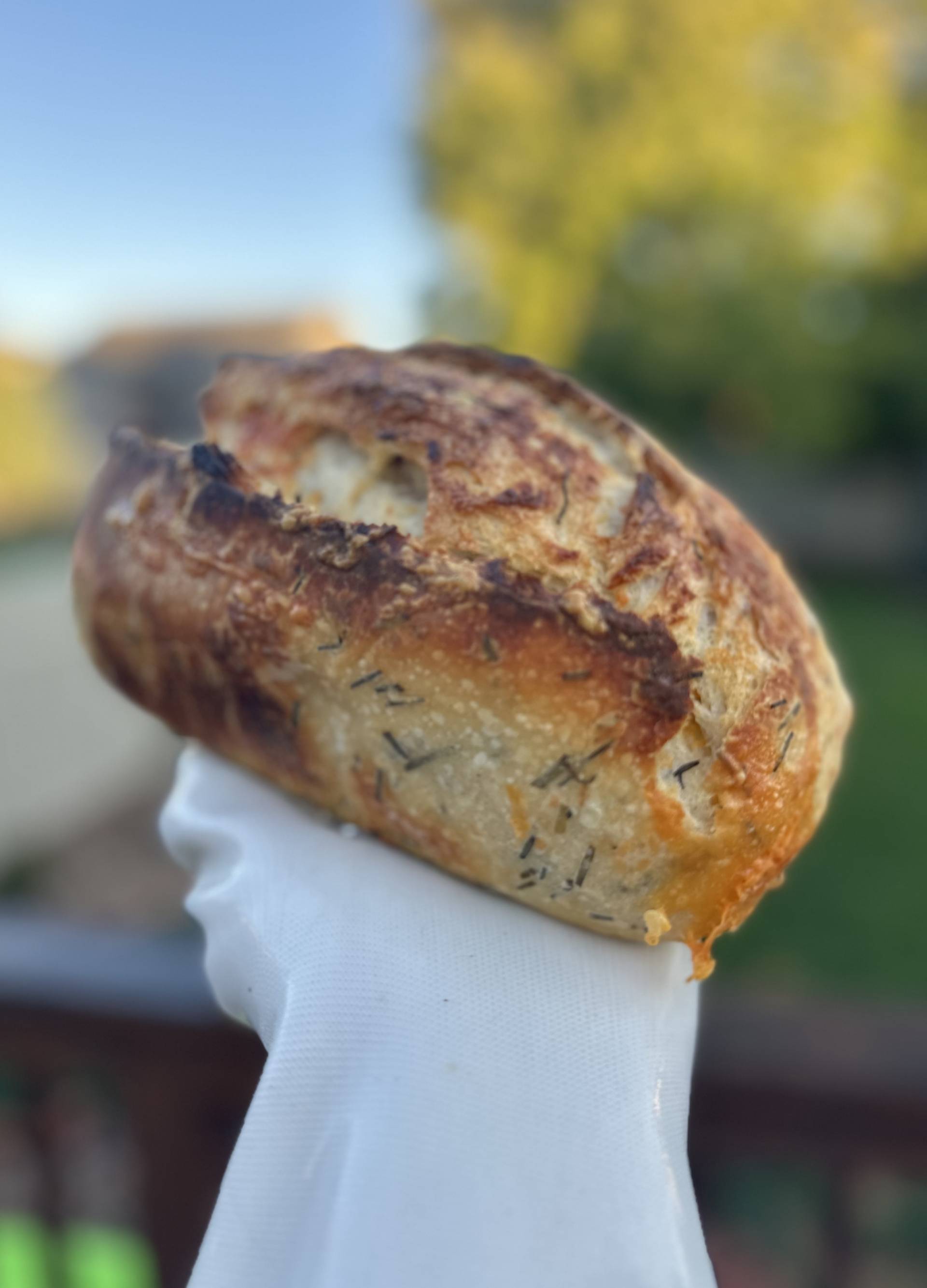 NoCo Sourdough - Chive and Cheddar Loaf